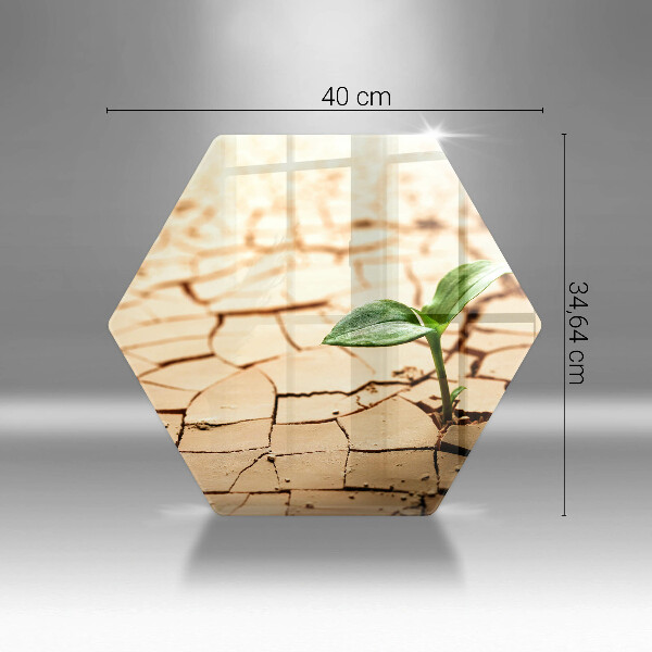 Tábua para corte Uma planta solitária