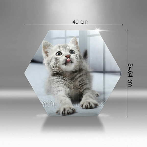 Tábua cozinha Um gatinho fofo