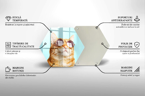 Tábua para corte Um gato ruivo com óculos