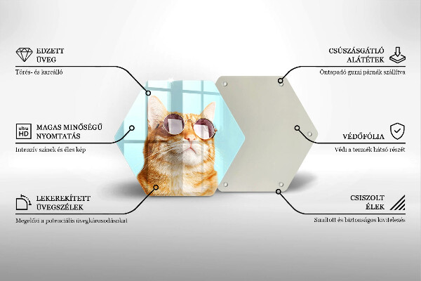 Tábua para corte Um gato ruivo com óculos