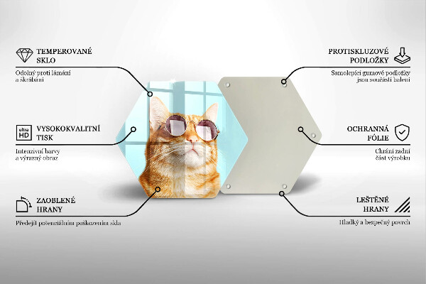 Tábua para corte Um gato ruivo com óculos