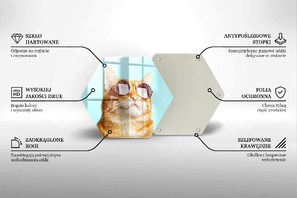 Tábua para corte Um gato ruivo com óculos