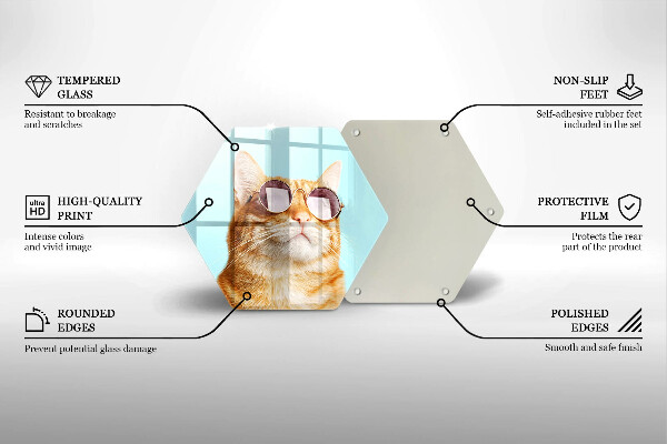 Tábua para corte Um gato ruivo com óculos