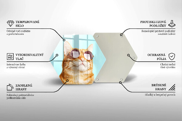 Tábua para corte Um gato ruivo com óculos