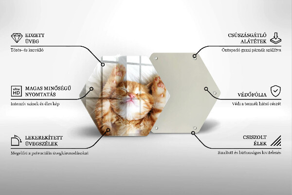 Tábua para cozinha Gatinho doce