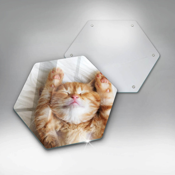 Tábua para cozinha Gatinho doce