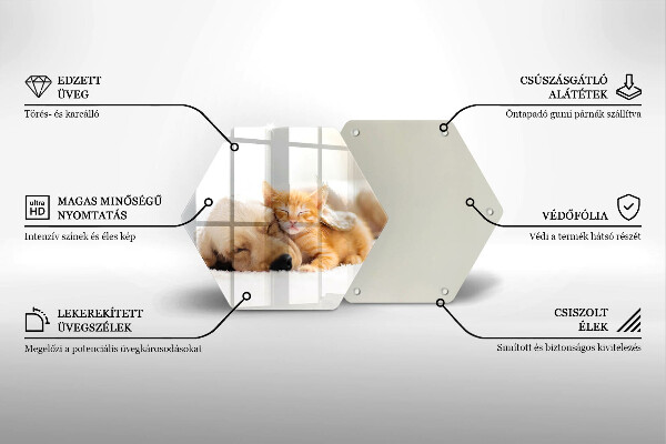 Tábua corte Animais cão e gato