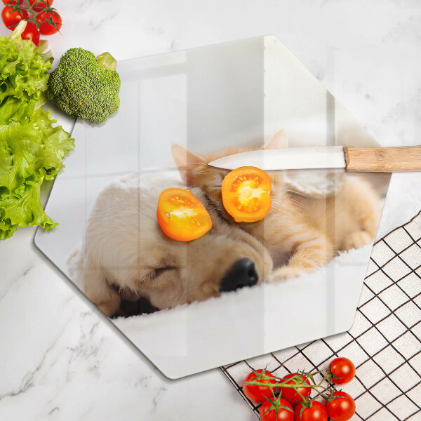 Tábua corte Animais cão e gato