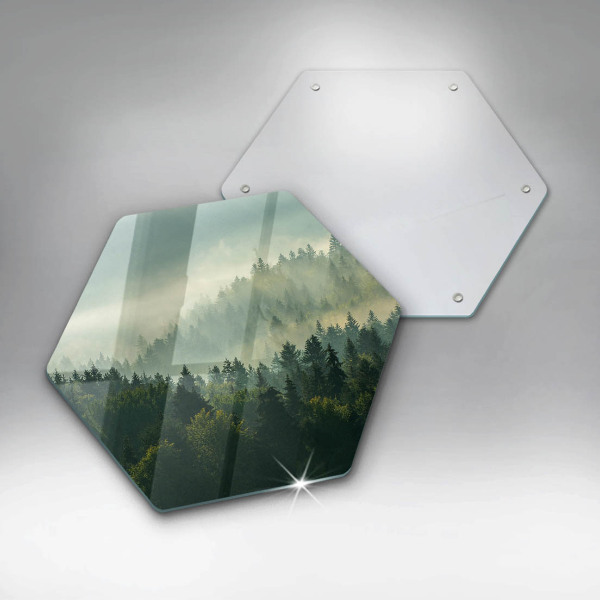 Tábua de cortar alimentos Vista da paisagem da floresta