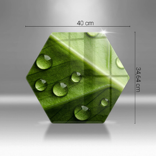Tábua de cortar de vidro Orvalho e folha da natureza