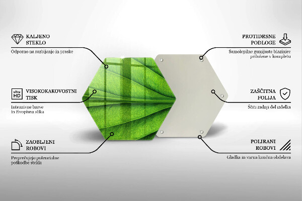 Tábua de corte Natureza das nervuras das folhas