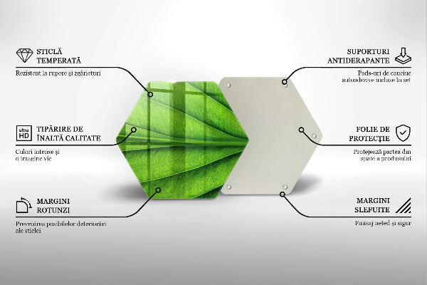 Tábua de corte Natureza das nervuras das folhas