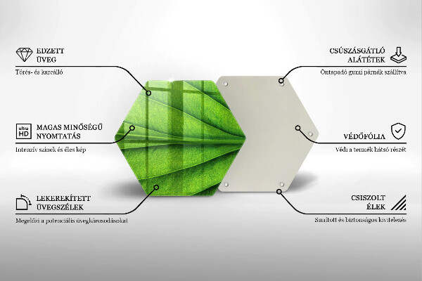 Tábua de corte Natureza das nervuras das folhas