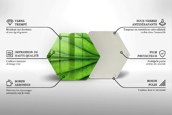Tábua de corte Natureza das nervuras das folhas
