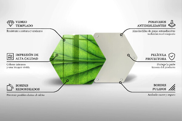 Tábua de corte Natureza das nervuras das folhas