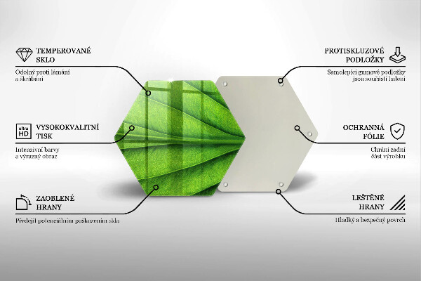 Tábua de corte Natureza das nervuras das folhas