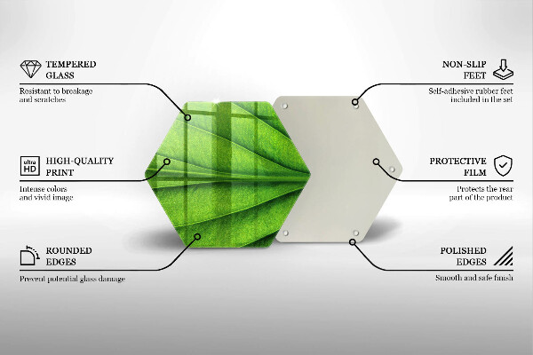 Tábua de corte Natureza das nervuras das folhas
