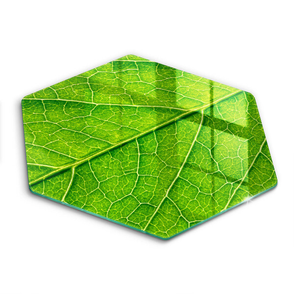 Tábua corte Natureza das nervuras das folhas