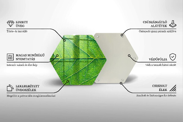 Tábua corte Natureza das nervuras das folhas