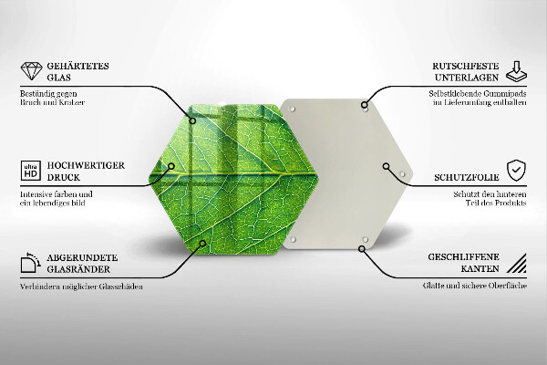 Tábua corte Natureza das nervuras das folhas