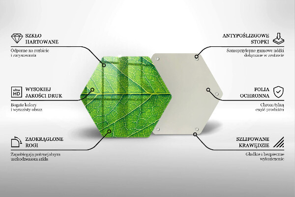 Tábua corte Natureza das nervuras das folhas