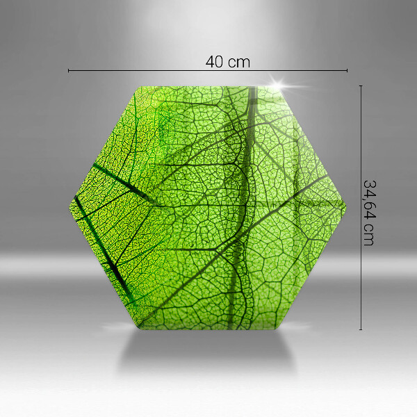 Tábua de cortar alimentos Natureza das nervuras das folhas