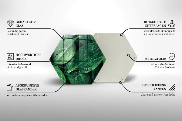 Tábua de cortar de vidro Folhas de manjericão