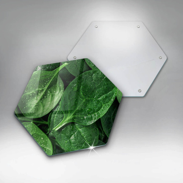 Tábua de cortar de vidro Folhas de manjericão