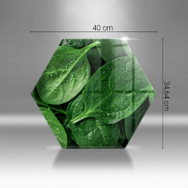 Tábua de cortar de vidro Folhas de manjericão