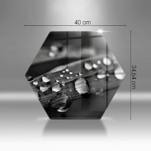 Tábua para cozinha Gotas de orvalho nas folhas