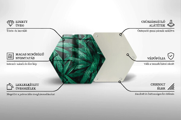 Tábua corte Folhas de plantas