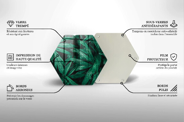 Tábua corte Folhas de plantas