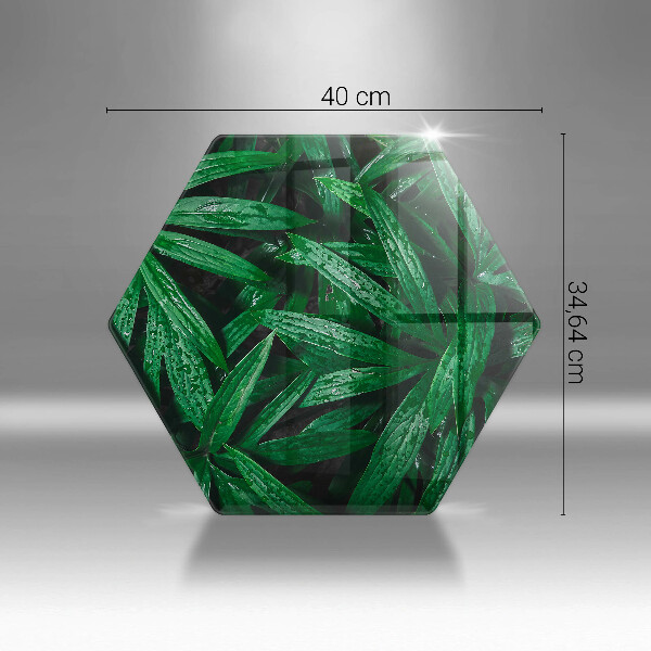 Tábua corte Folhas de plantas