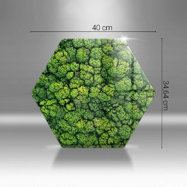 Tábua para corte A natureza planta musgo