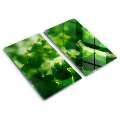 Tampa de parede do fogão a gás Folhas de alface