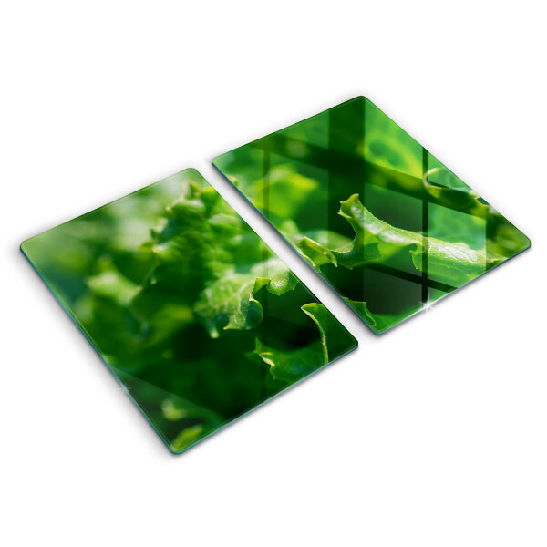 Tampa de parede do fogão a gás Folhas de alface