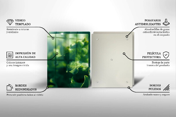 Tampa de parede do fogão a gás Folhas de alface