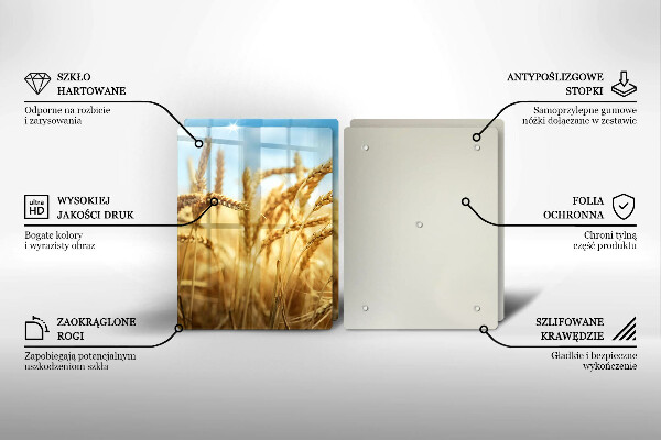 Proteção de paredes na cozinha Espigas de cereais no campo