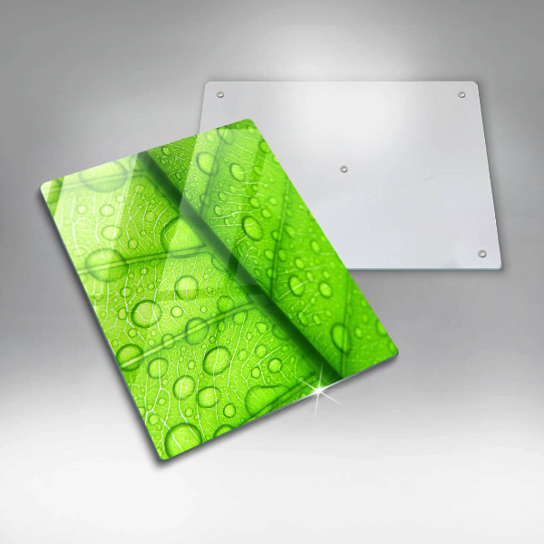 Proteção para placa de indução Close-up de uma folha