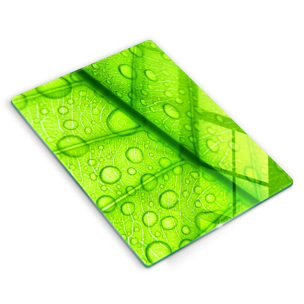 Proteção para placa de indução Close-up de uma folha