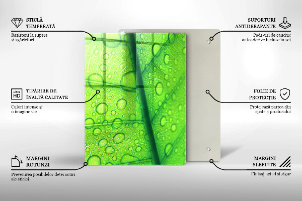 Proteção para placa de indução Close-up de uma folha