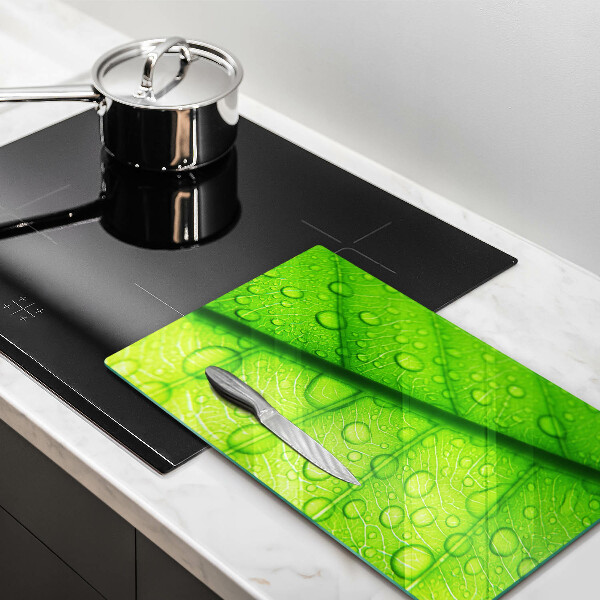 Proteção para placa de indução Close-up de uma folha