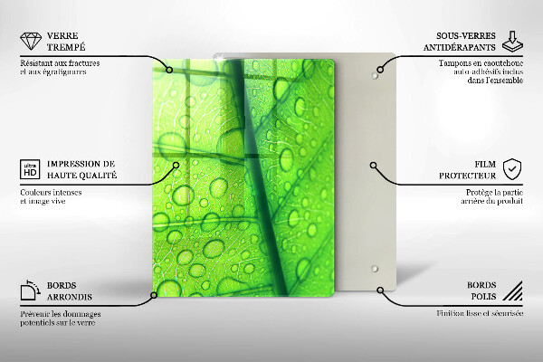 Proteção para placa de indução Close-up de uma folha
