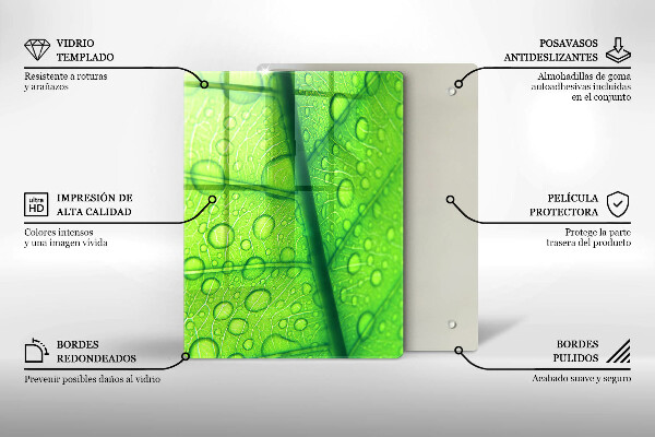 Proteção para placa de indução Close-up de uma folha