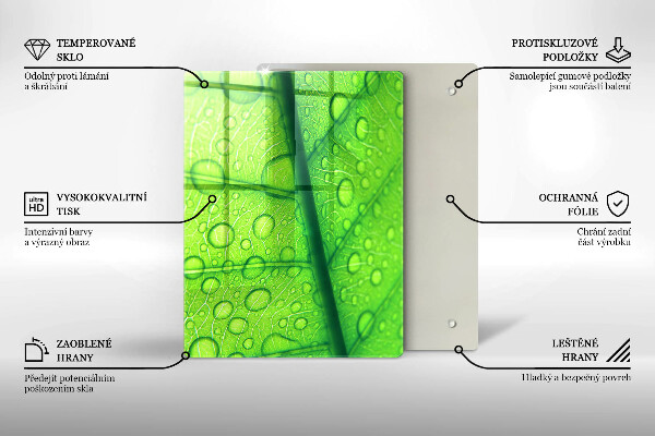 Proteção para placa de indução Close-up de uma folha