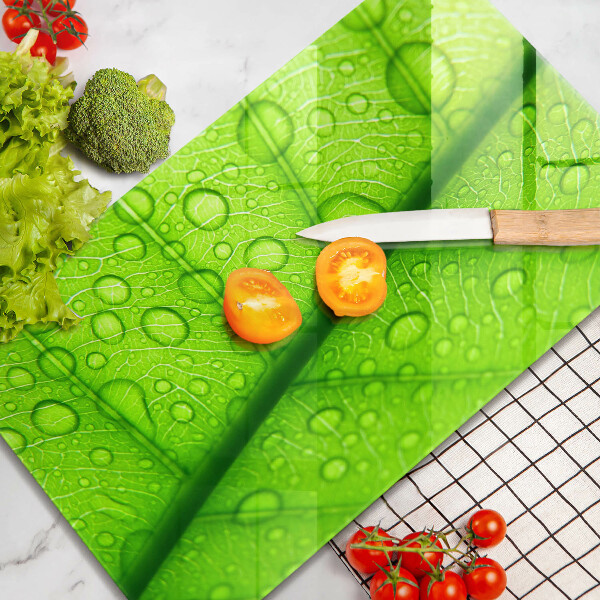Proteção para placa de indução Close-up de uma folha