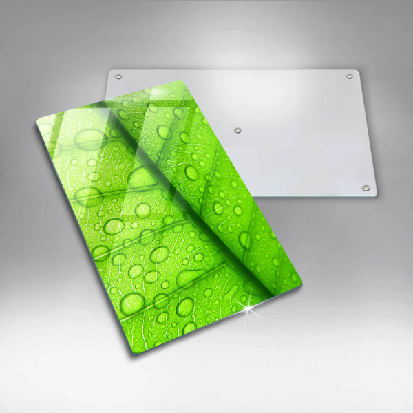 Proteção para placa de indução Close-up de uma folha