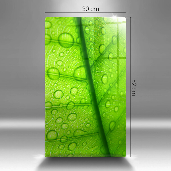 Proteção para placa de indução Close-up de uma folha