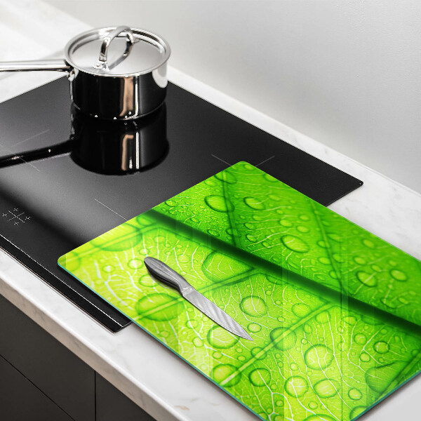 Proteção para placa de indução Close-up de uma folha