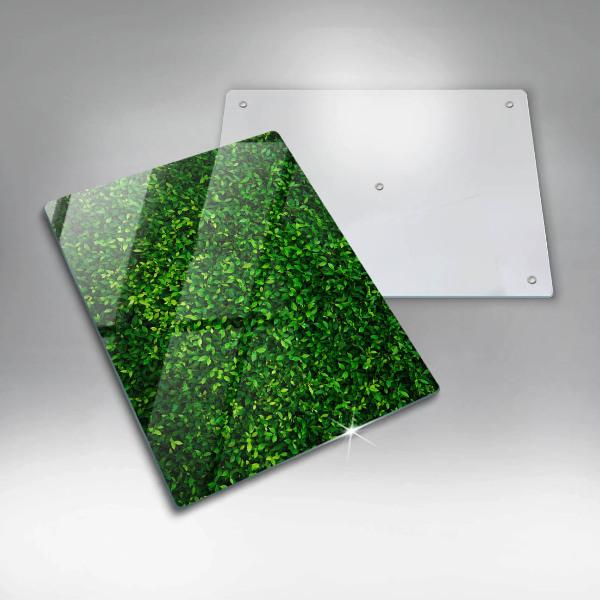 Protetor de placa de indução Planta com folhas pequenas